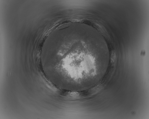 X0000111530409200907281407