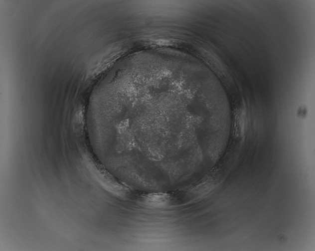 X0000111530410200907281407