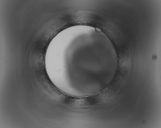 X0000111530411200907281407