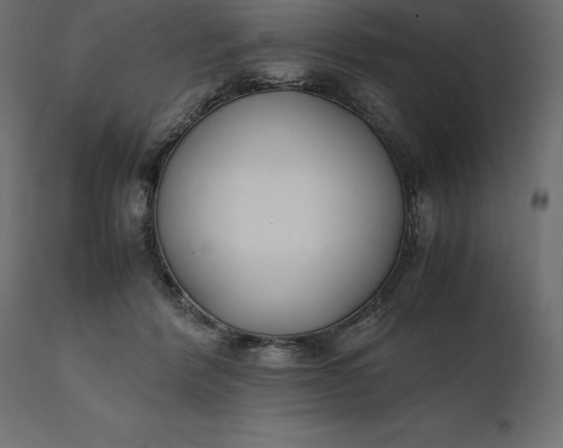 X0000111530412200907281407