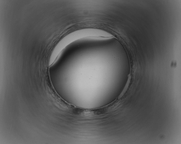 X0000111530413200907281407