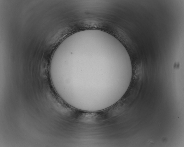 X0000111530414200907281407