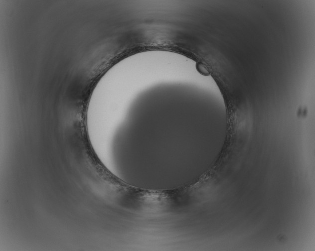 X0000111530415200907281407