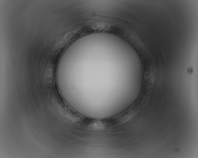 X0000111530416200907281407