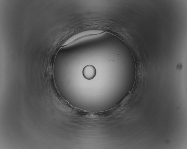 X0000111530419200907281407