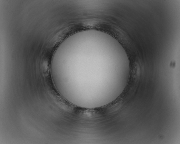 X0000111530420200907281407