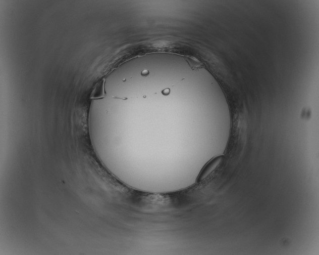 X0000111530421200907281407