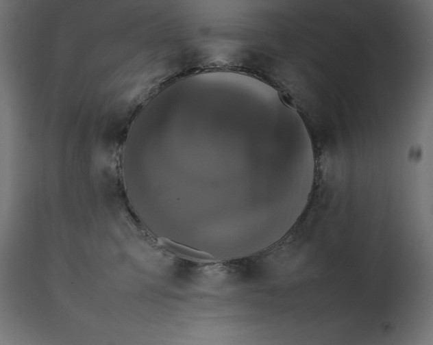 X0000111530423200907281407