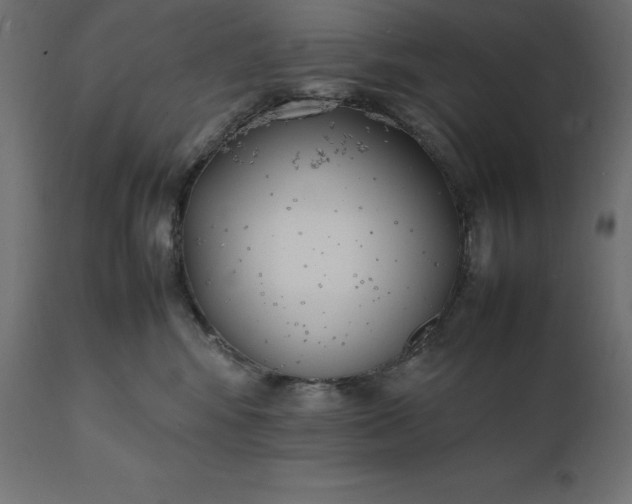 X0000111530424200907281407