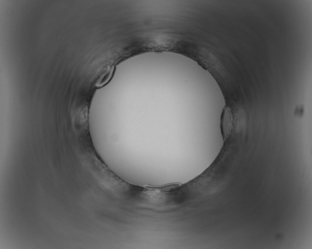 X0000111530425200907281407