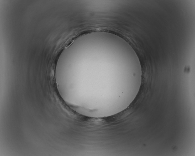 X0000111530427200907281407