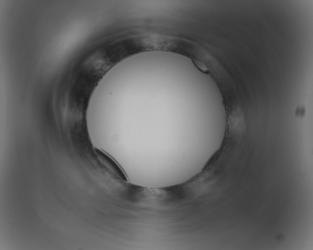 X0000111530429200907281407