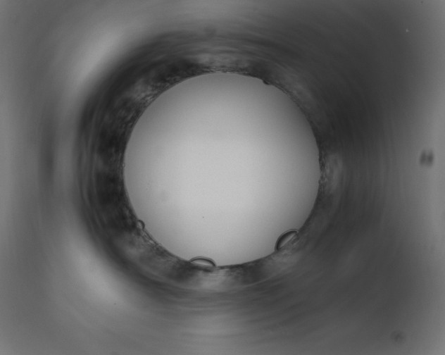 X0000111530430200907281407