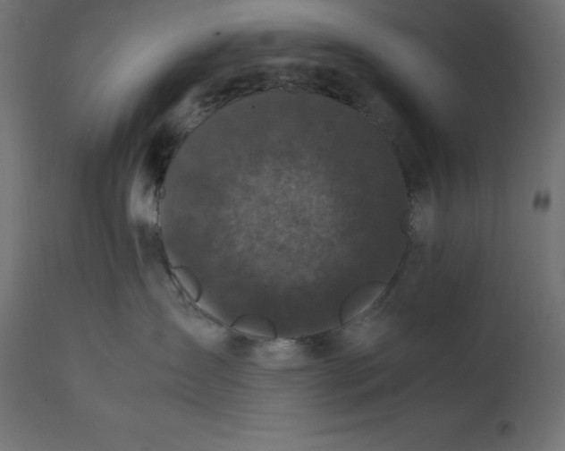 X0000111530431200907281407