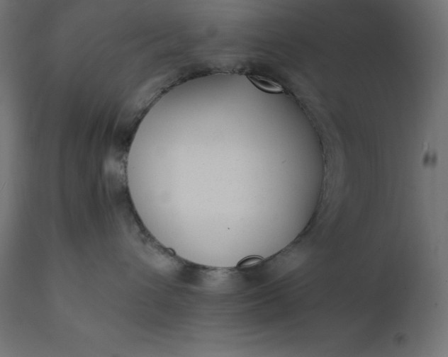 X0000111530432200907281407