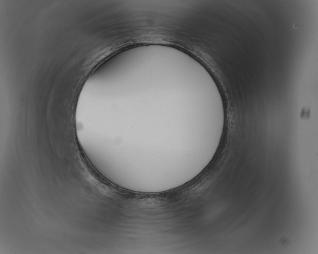 X0000111530433200907281406