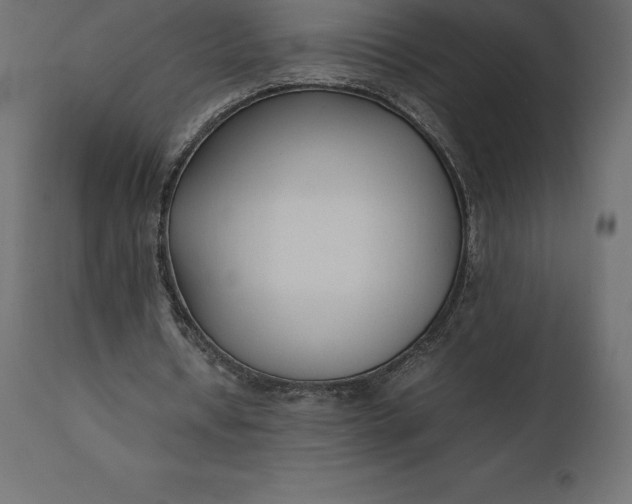 X0000111530434200907281406