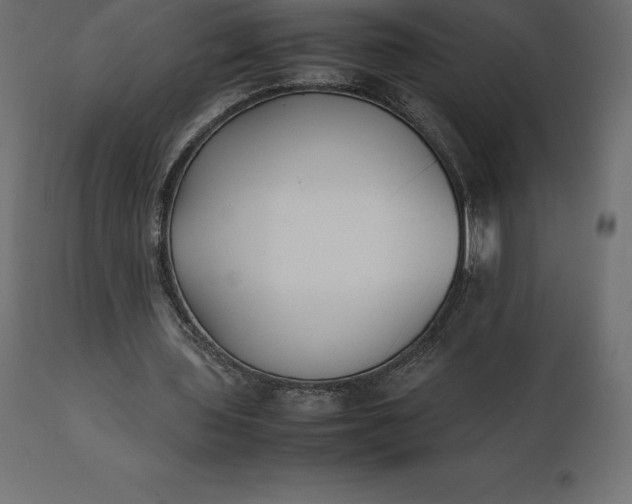 X0000111530435200907281406