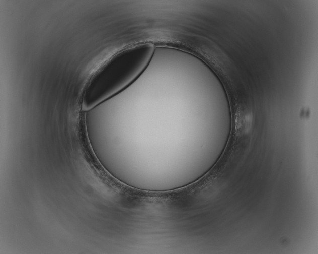 X0000111530436200907281406