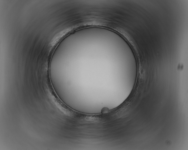 X0000111530437200907281406