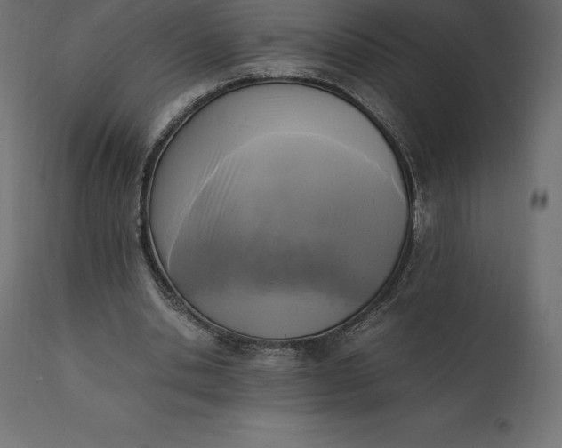 X0000111530438200907281406