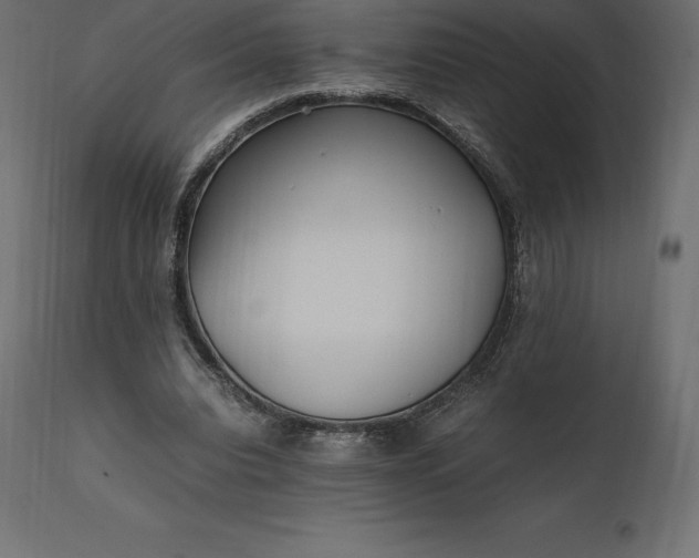 X0000111530440200907281406