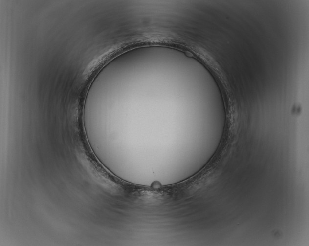 X0000111530442200907281406