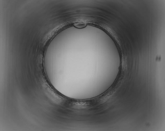 X0000111530445200907281406