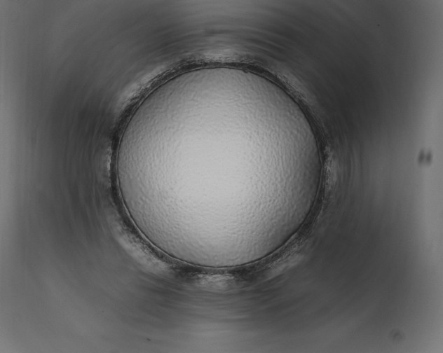 X0000111530446200907281406