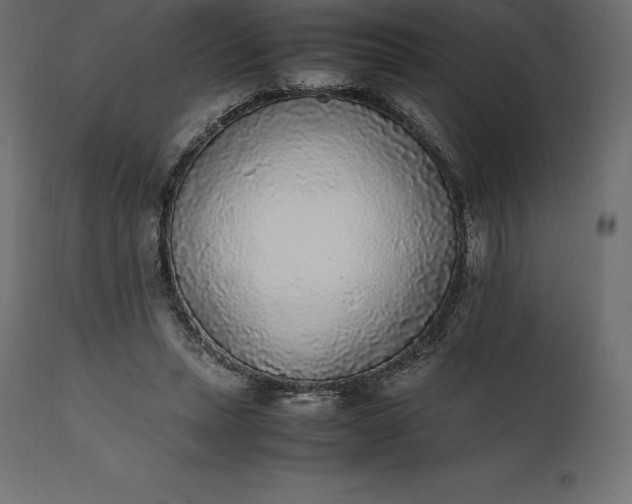 X0000111530447200907281406