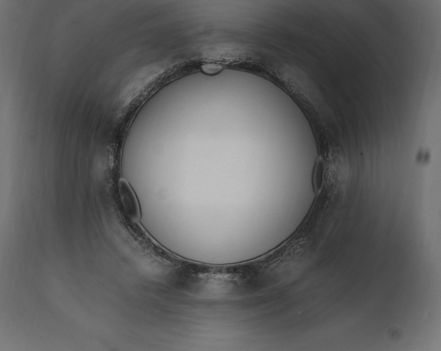 X0000111530448200907281406