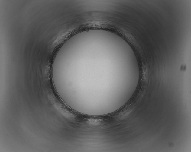 X0000111530450200907281406