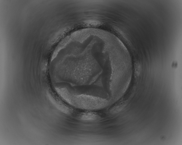 X0000111530451200907281406