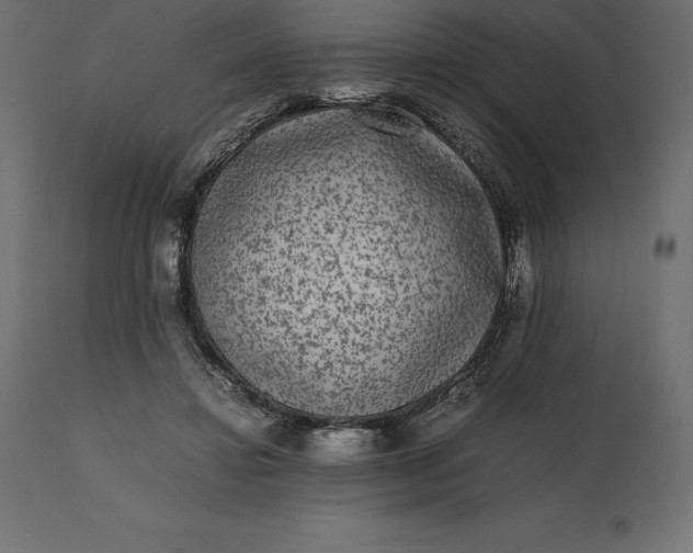 X0000111530452200907281406