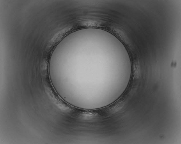 X0000111530453200907281406