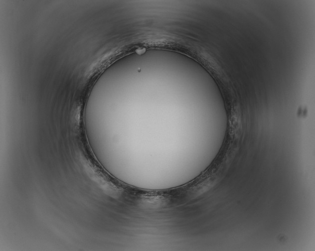 X0000111530454200907281406