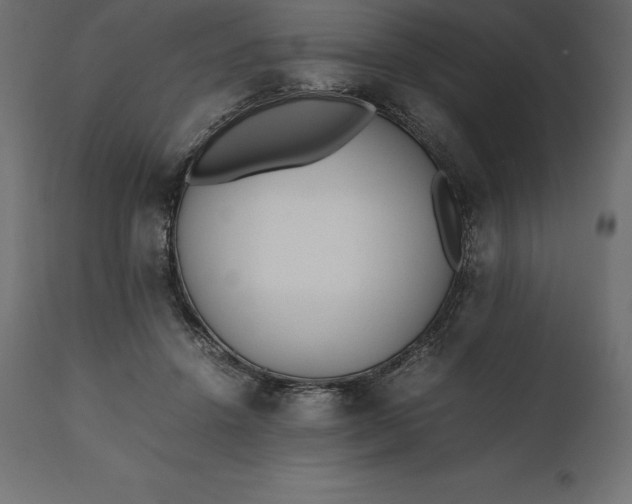 X0000111530456200907281406