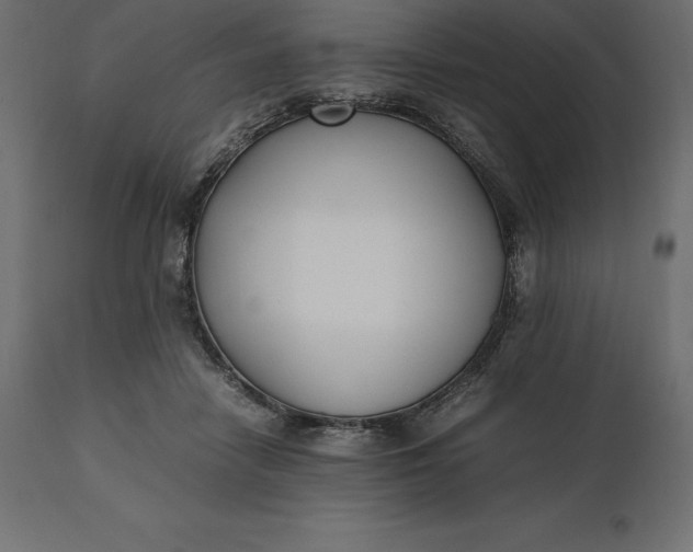 X0000111530458200907281406