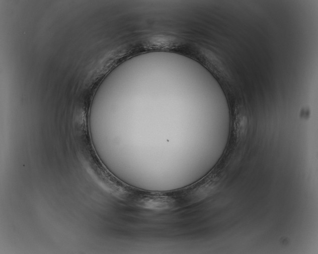 X0000111530459200907281406