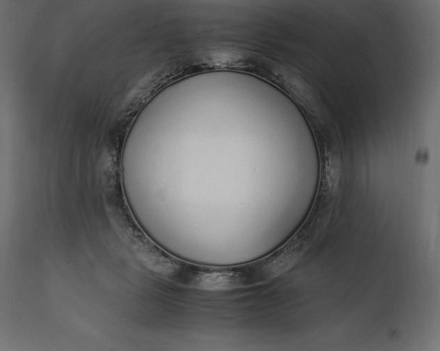 X0000111530461200907281407