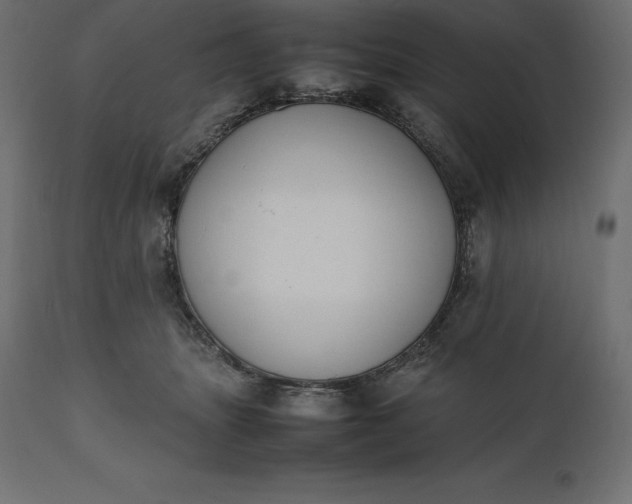 X0000111530463200907281407