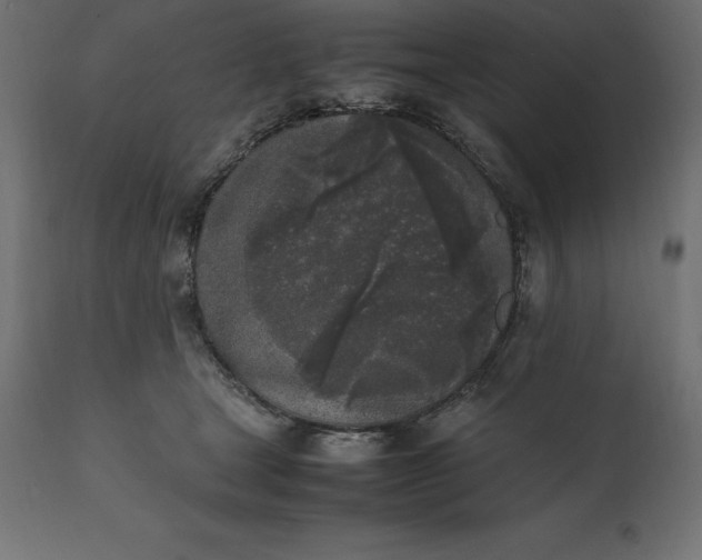 X0000111530465200907281407