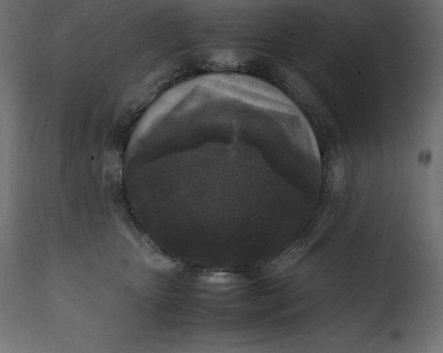 X0000111530467200907281407