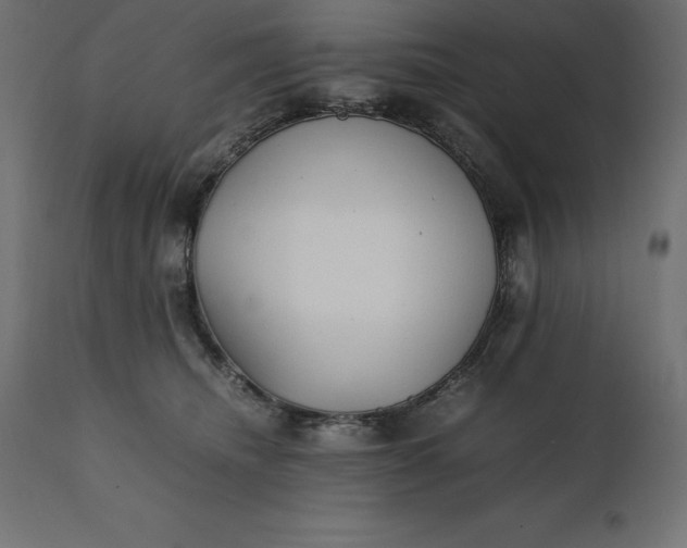 X0000111530468200907281407