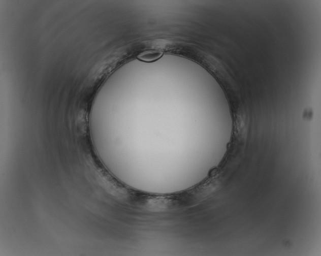 X0000111530470200907281407