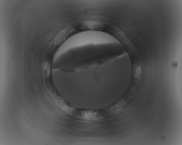 X0000111530471200907281407