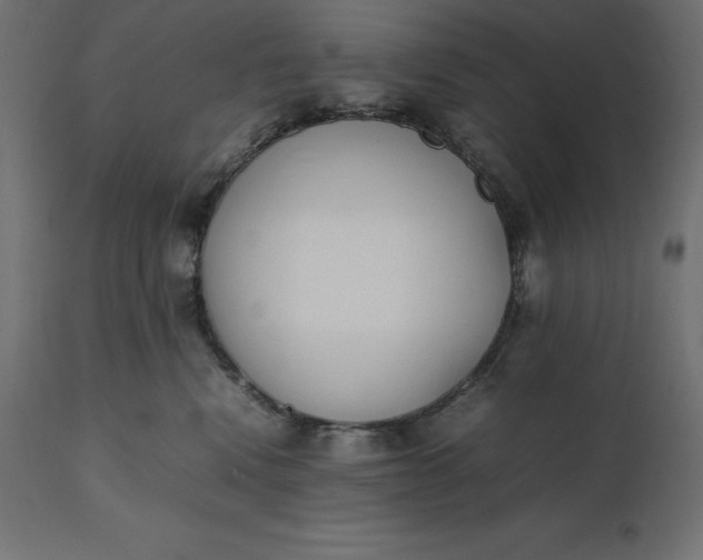 X0000111530472200907281407