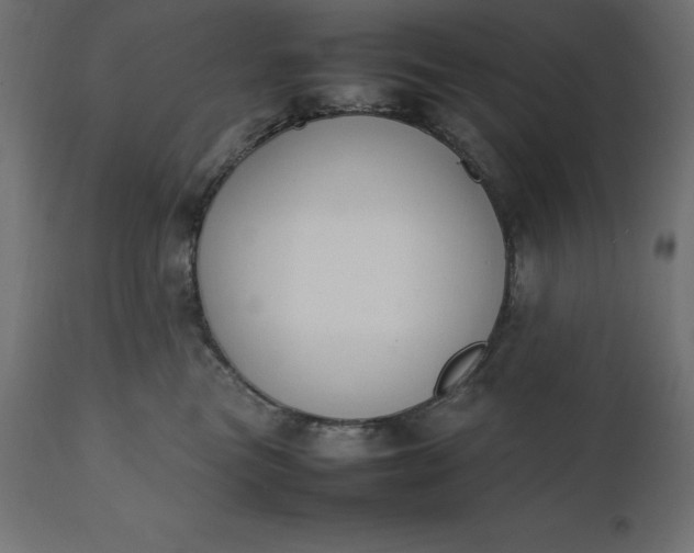 X0000111530473200907281407