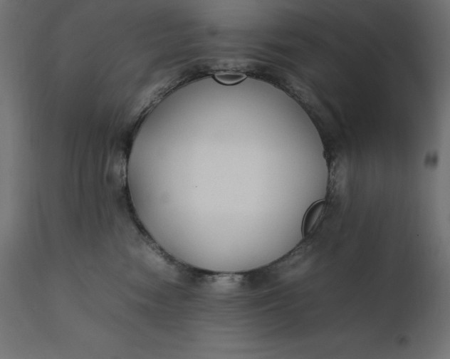 X0000111530474200907281407