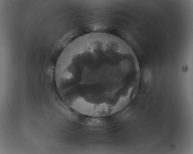 X0000111530475200907281407